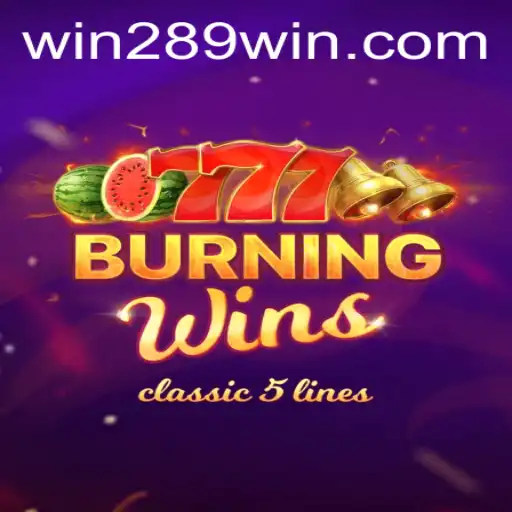 289win Casino App